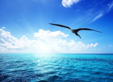 Es ist dein Traum: Niemand wird dir sagen, wie und wohin du fliegen sollst