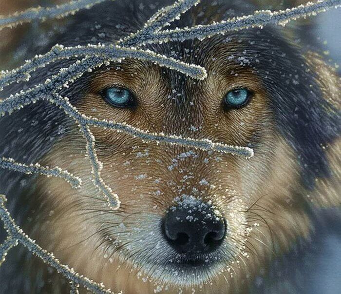 Der Wolf meiner Leeren: Wie kann man mit Verlusten umgehen?