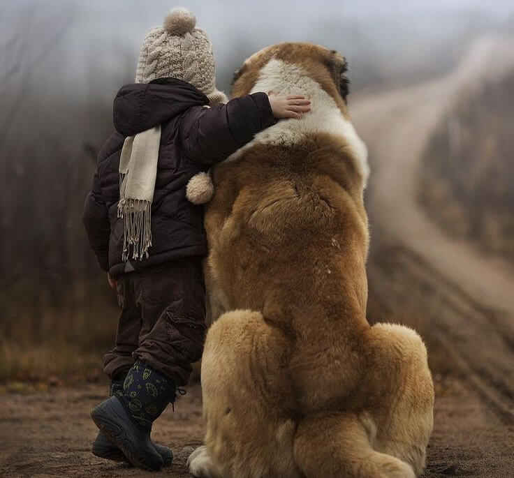 Du bist nicht was du erreichst, sondern was du überwindest