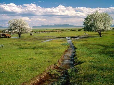Bach in Landschaft