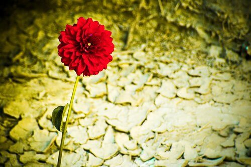 Widerstandsfähige Persönlichkeit, starke Persönlichkeit