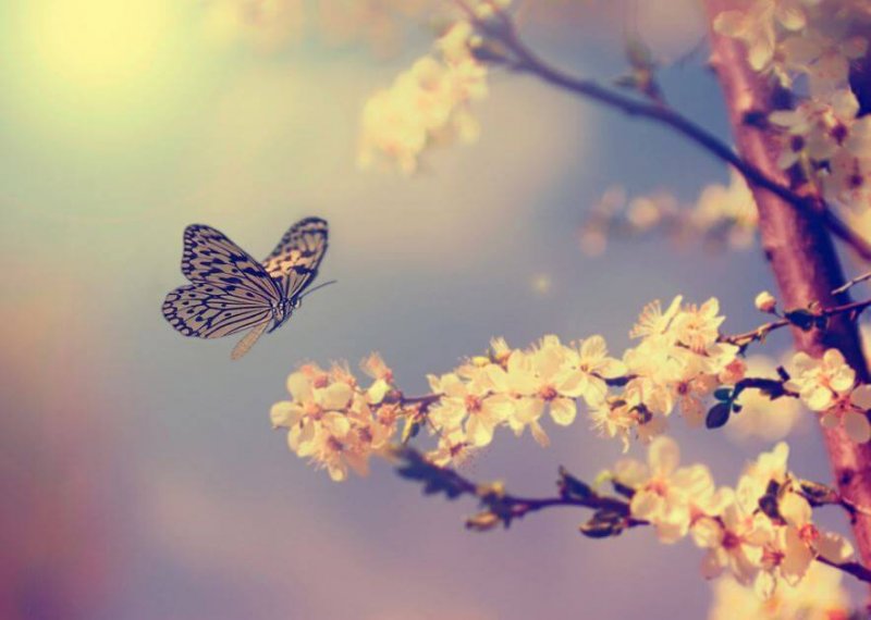 Endlich frei fliegen wie ein Adler