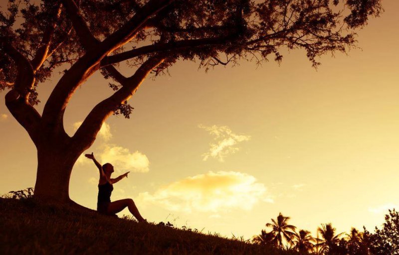 Weisheit habe ich erreicht, wenn ich nichts und niemandem mehr die Schuld für für meine Situation gebe