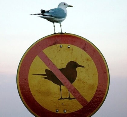 Ironie2