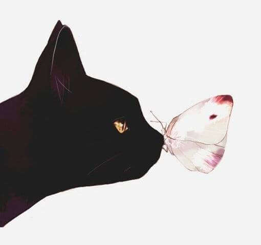 Katzenschmetterling
