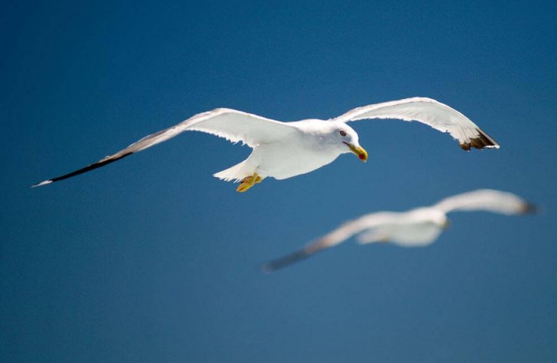 Es liegt nicht an dir, sondern an mir - ohne dich bin ich vollkommen