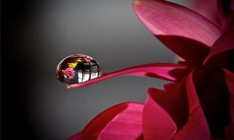 Was wir über das Leben vergessen haben