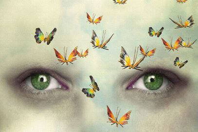Schmetterlinge vor Augen
