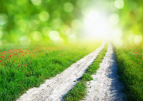 Drei Instinkte, die einen gewöhnlich nicht im Stich lassen