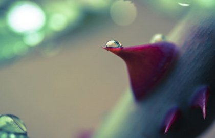 emotionaleVergiftung2