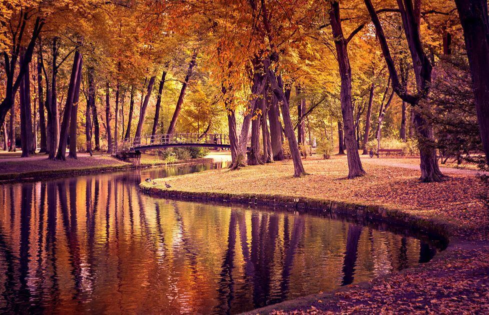 park