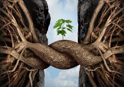 Die 7 Knüppel meiner Hütte