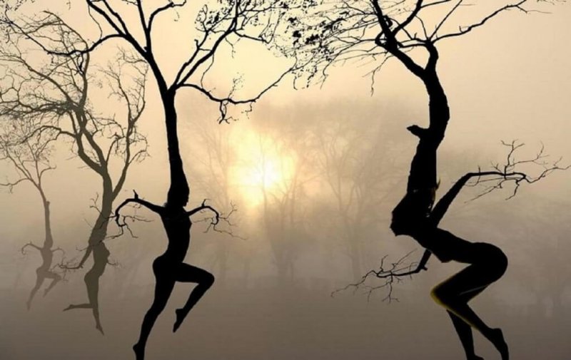 Ein Leben mit Flügeln oder Wurzeln - Beständigkeit oder Wandel?