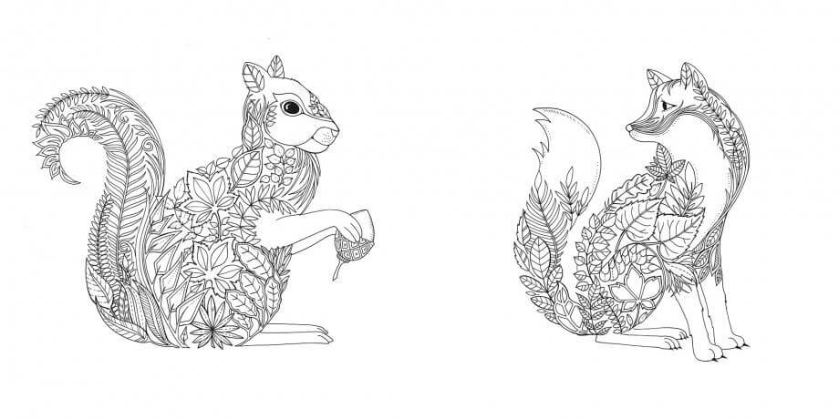 Eichhörnchen und Fuchs