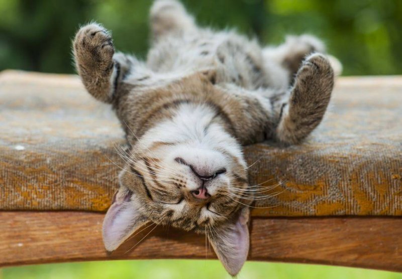 4 psychologische Nutzen des Mittagsschlafs