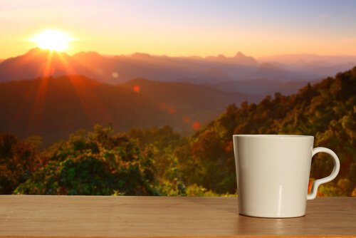 Zufälle oder Kausalitäten?