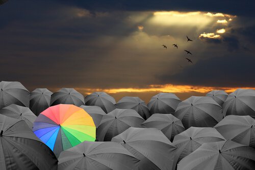 regenschirme_163223417