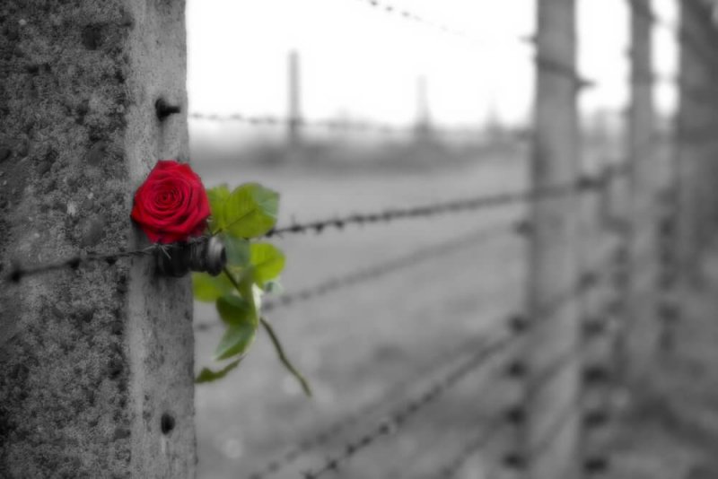 Was Liebe wirklich ist