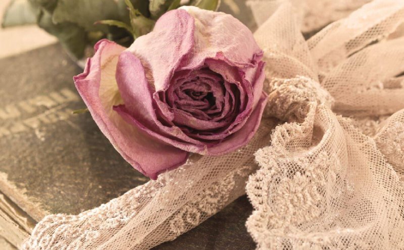 Tief in unserer Seele liegen Erinnerungen verborgen