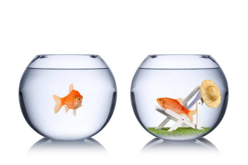 Warum denkst du, du würdest etwas Besseres verdienen?