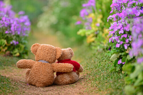 Zwei sich umarmende Baeren