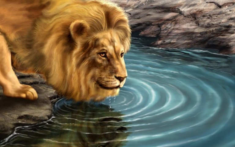 Die Geschichte vom Löwen und seinem Spiegelbild