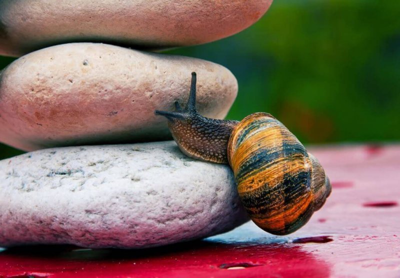 Die Kunst, sich das Leben nicht zu vermiesen