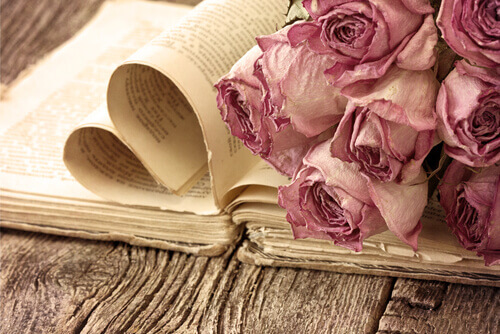 Buch mit Rosen