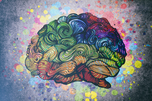 Der Mensch und seine 8 Intelligenzen