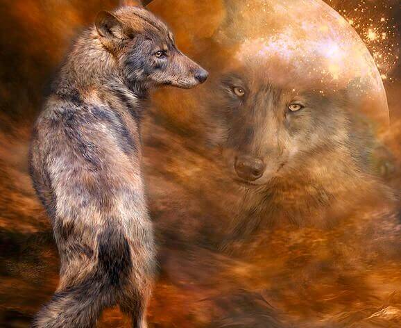 Schönheit ist eine Sache des Verhaltens