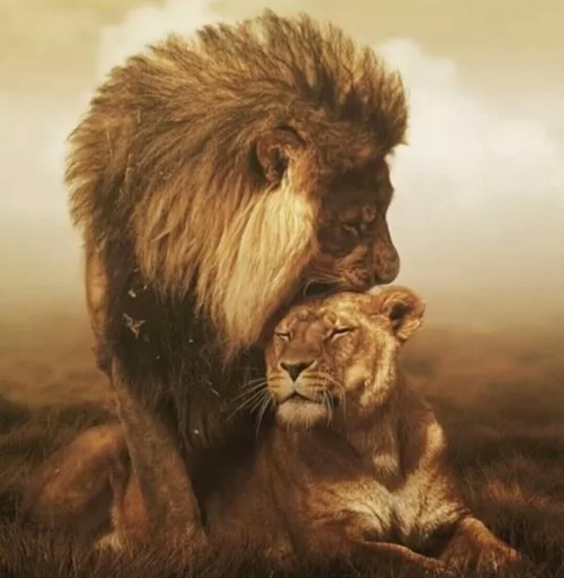 Anerkennung – Grundlage unseres Selbstwertgefühls