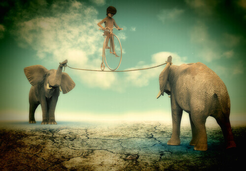 Kind-balanciert-auf-Seil-gespannt-zwischen-zwei-Elefanten