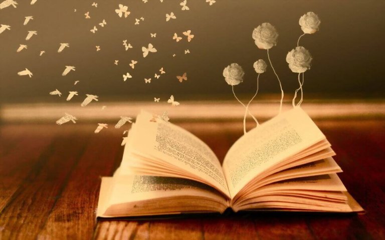 Es lohnt sich, wenn dir eine Träne gestohlen wird, solange der Dieb ein Buch ist
