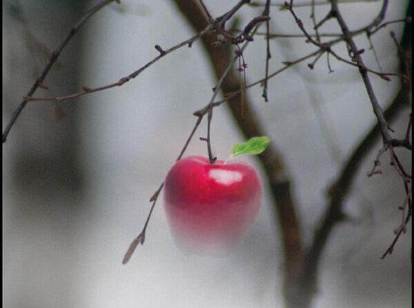 Roter-Apfel
