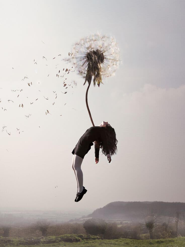 Pusteblume