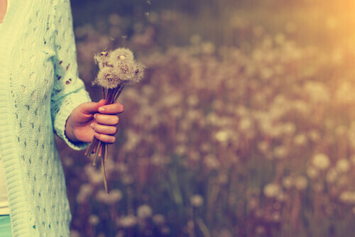 Wu wei - ändere etwas, wenn du kannst, und wenn nicht, dann „fließe“