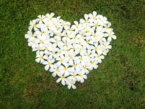Herz aus Blumen