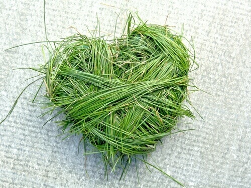 Herz aus Gras