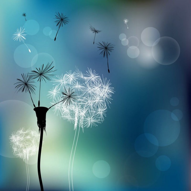 Wie du dich von toxischen Menschen befreist