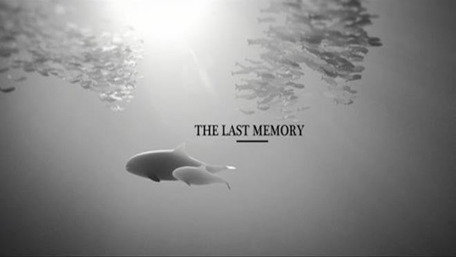 Dieser bewegende Kurzfilm zeigt dir die erschreckende Realität unserer Ozeane