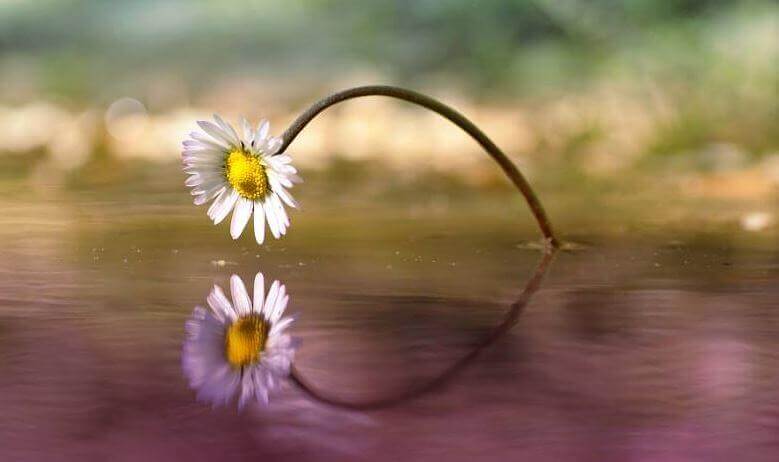 Mit der Zeit zeigt sich, dass das Gute jeden Moment erscheint