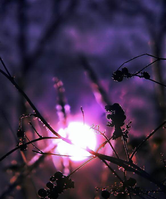 Die Introspektion - eine Reise durch das eigene Sein