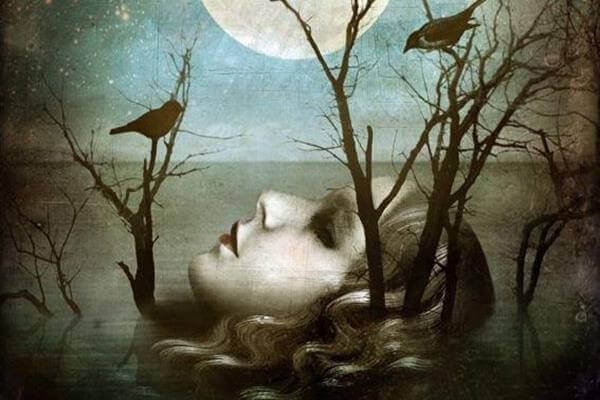 Mond-Frau-Voegel