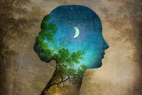 Du bist nicht deine Erfahrungen, sondern das, was du aus ihnen lernst