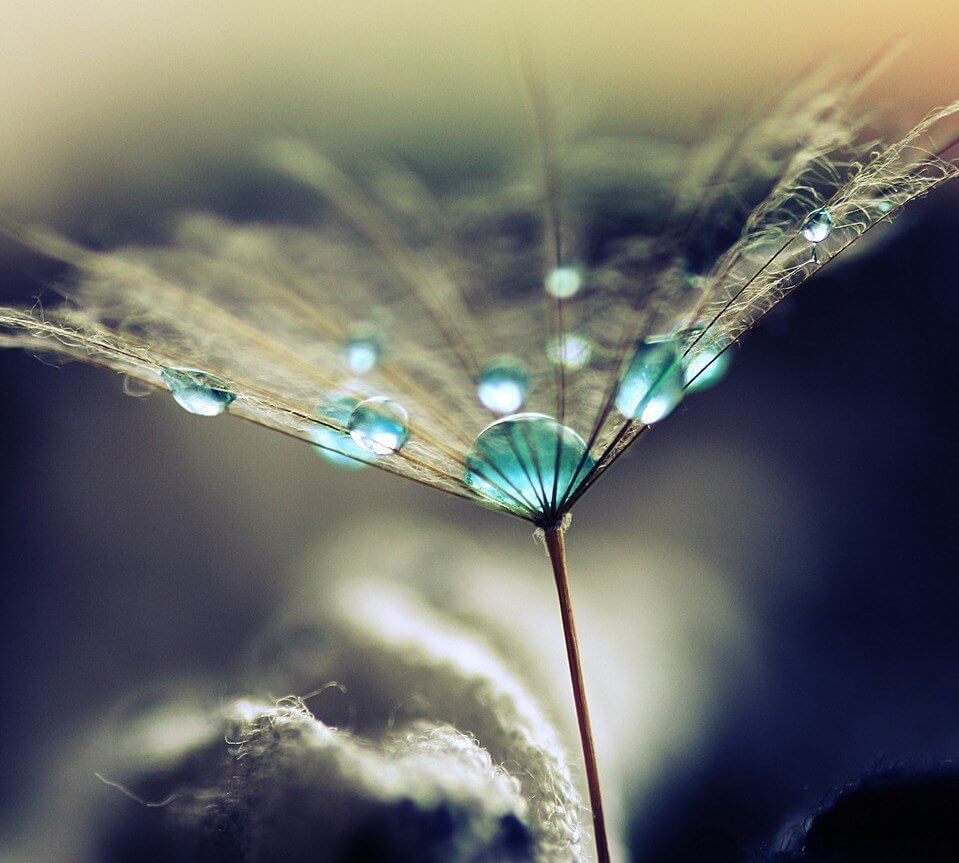 Resilienz und emotionale Gesundheit