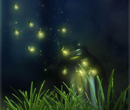 Glüchwürmchen in der Nacht
