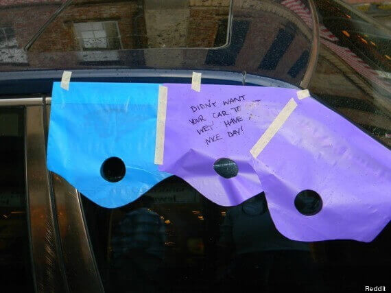 Fenster des Autos offen gelassen und geschützt