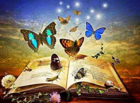 Magisches Buch voller Schmettelinge