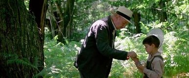 Die Zunge der Schmetterlinge