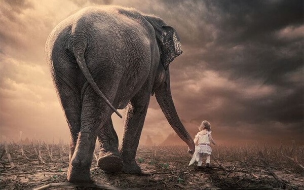 Kind geht mit Elefant spazieren